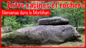 Entre racines et rochers